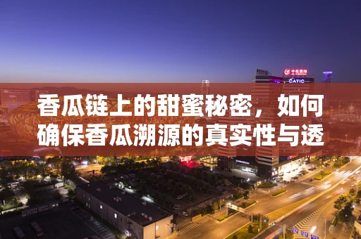 香瓜链上的甜蜜秘密，如何确保香瓜溯源的真实性与透明度？
