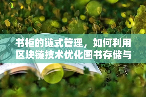 书柜的链式管理，如何利用区块链技术优化图书存储与追踪？