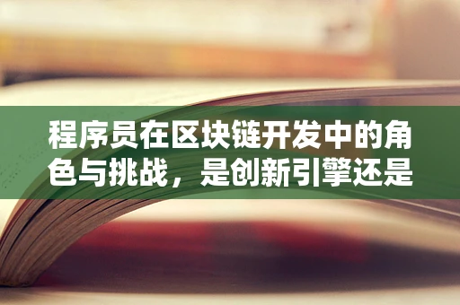 程序员在区块链开发中的角色与挑战，是创新引擎还是技术瓶颈？