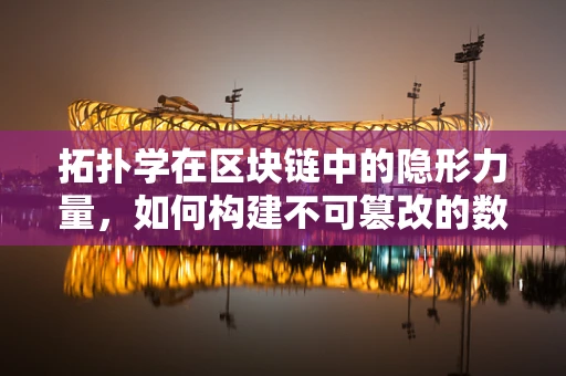拓扑学在区块链中的隐形力量，如何构建不可篡改的数字世界？