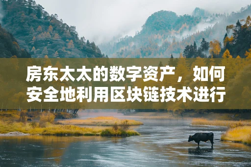 房东太太的数字资产，如何安全地利用区块链技术进行租金管理？