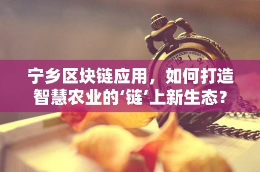 宁乡区块链应用，如何打造智慧农业的‘链’上新生态？