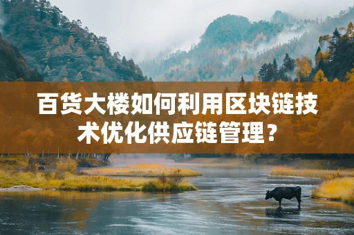 百货大楼如何利用区块链技术优化供应链管理？