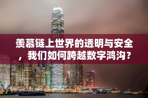 羡慕链上世界的透明与安全，我们如何跨越数字鸿沟？