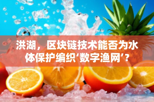 洪湖，区块链技术能否为水体保护编织‘数字渔网’？