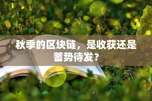 秋季的区块链，是收获还是蓄势待发？