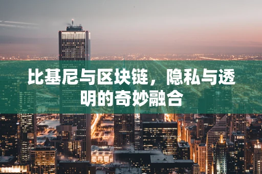 比基尼与区块链，隐私与透明的奇妙融合