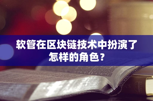 软管在区块链技术中扮演了怎样的角色？