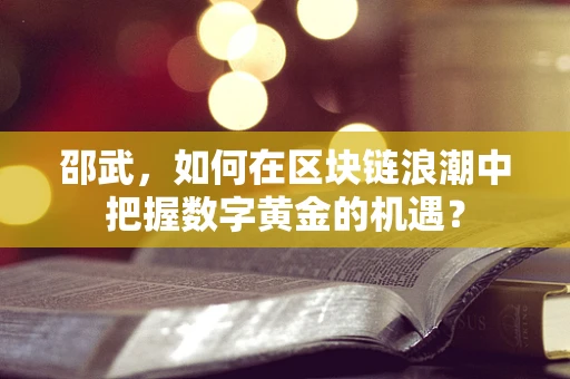邵武，如何在区块链浪潮中把握数字黄金的机遇？