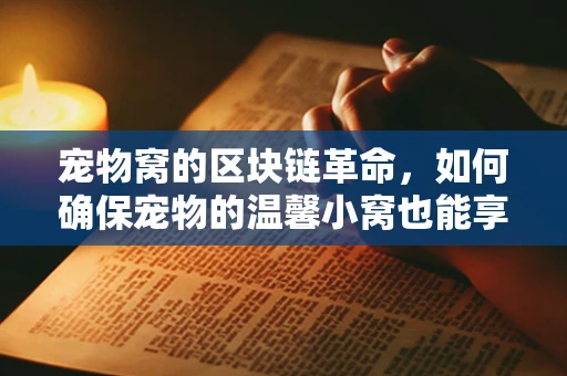 宠物窝的区块链革命，如何确保宠物的温馨小窝也能享受数字信任？