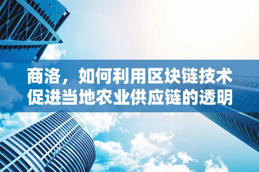 商洛，如何利用区块链技术促进当地农业供应链的透明度与效率？