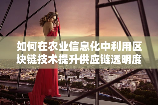 如何在农业信息化中利用区块链技术提升供应链透明度？