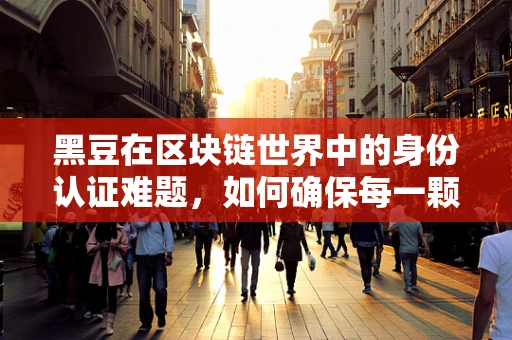 黑豆在区块链世界中的身份认证难题，如何确保每一颗豆的真身?