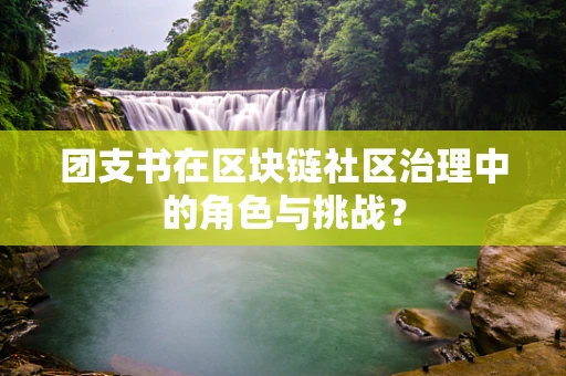团支书在区块链社区治理中的角色与挑战？