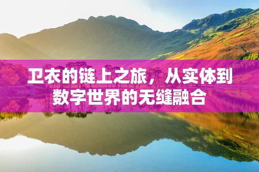 卫衣的链上之旅，从实体到数字世界的无缝融合