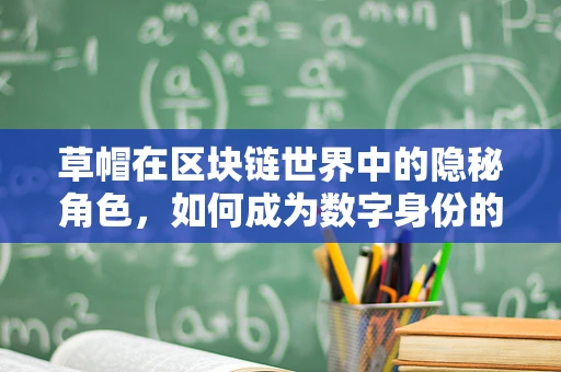 草帽在区块链世界中的隐秘角色，如何成为数字身份的守护者？