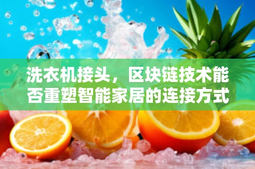 洗衣机接头，区块链技术能否重塑智能家居的连接方式？