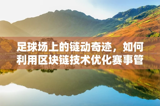 足球场上的链动奇迹，如何利用区块链技术优化赛事管理？