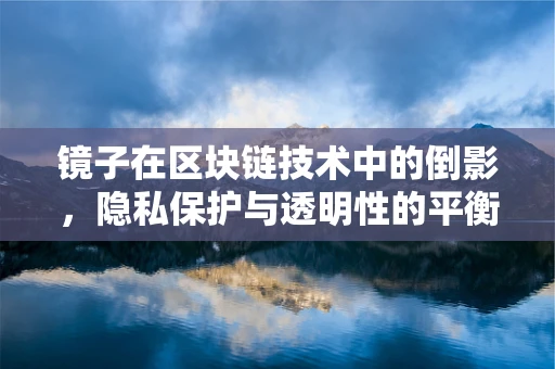 镜子在区块链技术中的倒影，隐私保护与透明性的平衡之道？