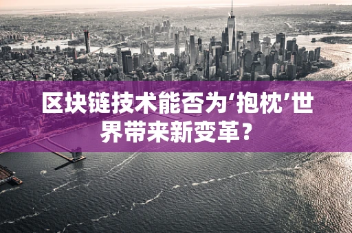 区块链技术能否为‘抱枕’世界带来新变革？