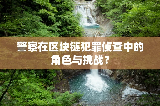 警察在区块链犯罪侦查中的角色与挑战？