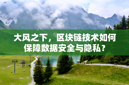 大风之下，区块链技术如何保障数据安全与隐私？