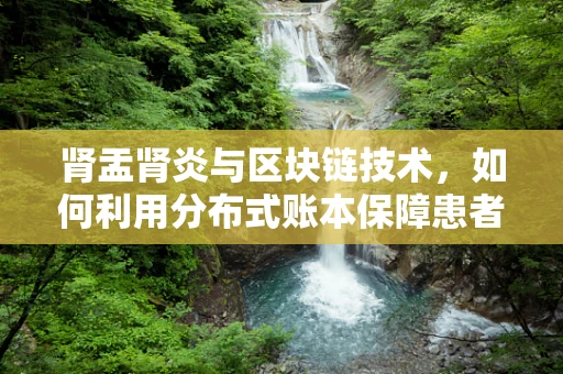 肾盂肾炎与区块链技术，如何利用分布式账本保障患者医疗数据安全？
