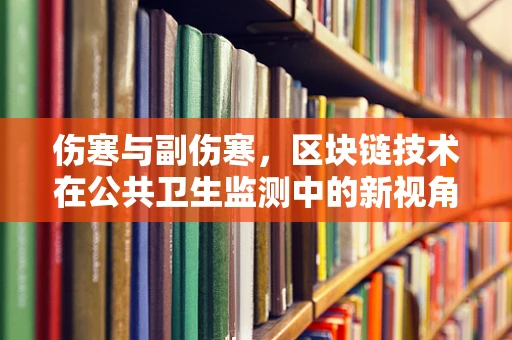 伤寒与副伤寒，区块链技术在公共卫生监测中的新视角？