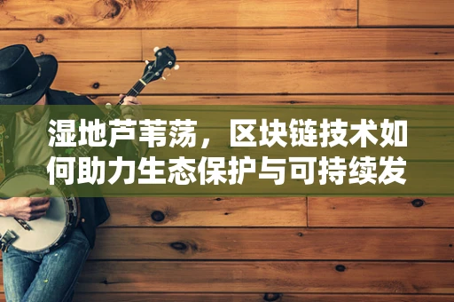 湿地芦苇荡，区块链技术如何助力生态保护与可持续发展？
