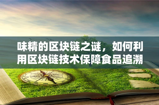 味精的区块链之谜，如何利用区块链技术保障食品追溯的透明与安全？