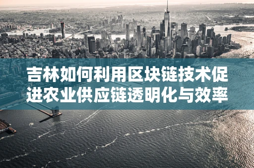 吉林如何利用区块链技术促进农业供应链透明化与效率提升？