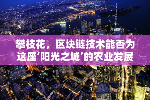 攀枝花，区块链技术能否为这座‘阳光之城’的农业发展带来新机遇？