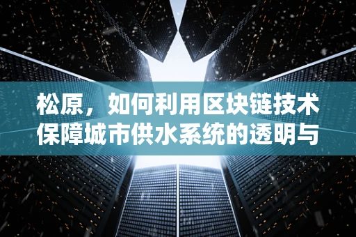 松原，如何利用区块链技术保障城市供水系统的透明与安全？