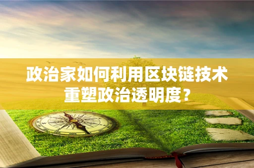 政治家如何利用区块链技术重塑政治透明度？