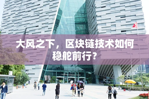 大风之下，区块链技术如何稳舵前行？