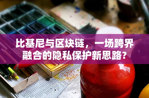 比基尼与区块链，一场跨界融合的隐私保护新思路？
