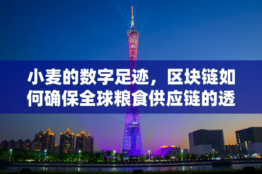 小麦的数字足迹，区块链如何确保全球粮食供应链的透明与安全？