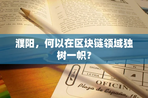 濮阳，何以在区块链领域独树一帜？
