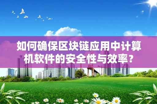 如何确保区块链应用中计算机软件的安全性与效率？