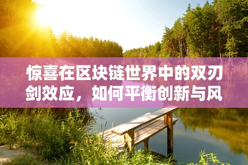惊喜在区块链世界中的双刃剑效应，如何平衡创新与风险？