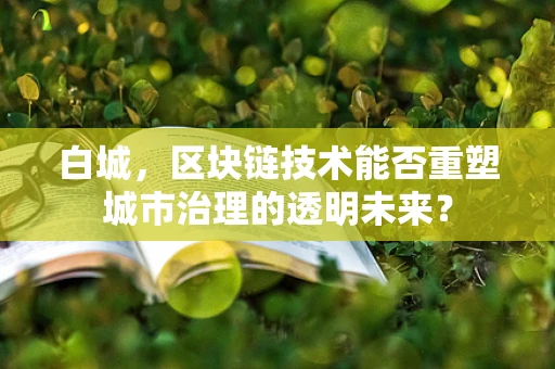 白城，区块链技术能否重塑城市治理的透明未来？