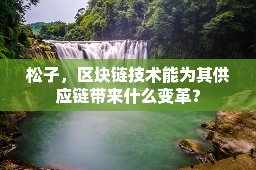 松子，区块链技术能为其供应链带来什么变革？