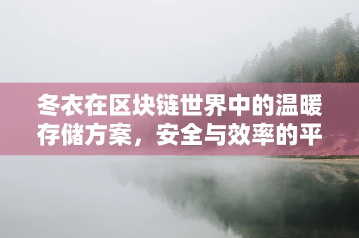 冬衣在区块链世界中的温暖存储方案，安全与效率的平衡挑战