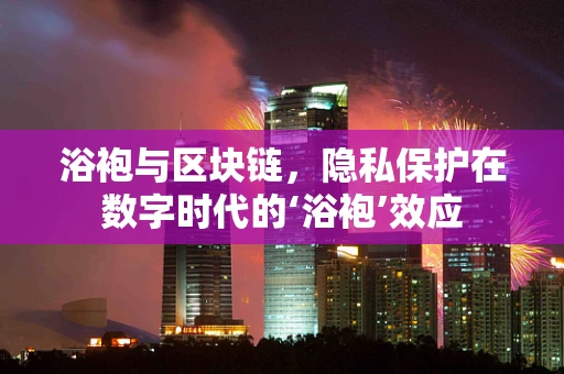 浴袍与区块链，隐私保护在数字时代的‘浴袍’效应
