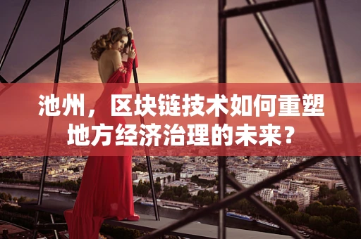 池州，区块链技术如何重塑地方经济治理的未来？