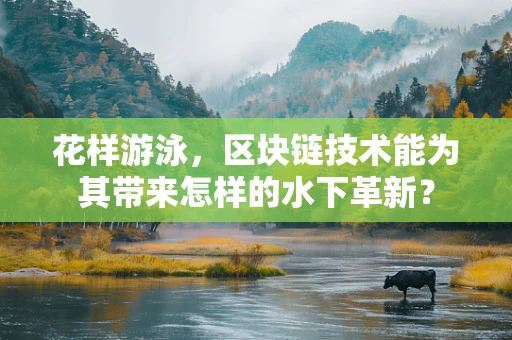 花样游泳，区块链技术能为其带来怎样的水下革新？