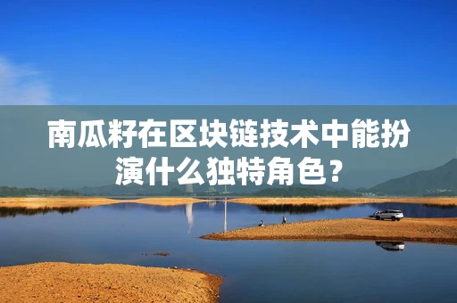 南瓜籽在区块链技术中能扮演什么独特角色？