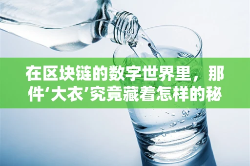 在区块链的数字世界里，那件‘大衣’究竟藏着怎样的秘密？