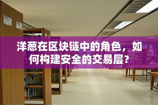 洋葱在区块链中的角色，如何构建安全的交易层？