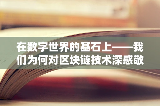 在数字世界的基石上——我们为何对区块链技术深感敬佩？